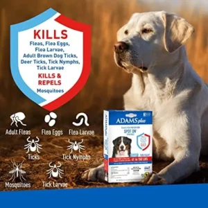 Adams Plus Flea & Tick Prevention Spot On for Dogs 61-150 Pounds, 12 Weeks & Older, 3-Month Supply, Kills Fleas, Flea Eggs, Flea Larvae & Brown Dog & Deer Ticks, Kills & Repels Mosquitoes For 30 Days