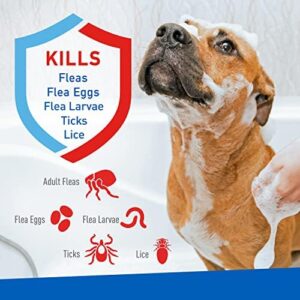 Adams Plus Flea & Tick Shampoo with Precor for Cats, Kittens, Dogs & Puppies Over 12 Weeks Of Age Sensitive Skin Flea Treatment | Kills Adult Fleas, Flea Eggs, Ticks, and Lice