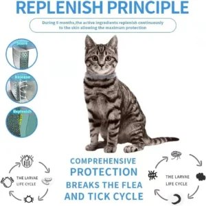 Advanllent Flea Collar for Cats, Flea and Tick Collars for Cats and Kittens, 8 Month Protection, Gray, 1 Pack CAT