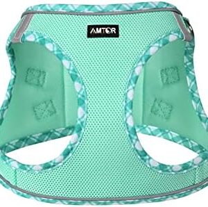 AMTOR Dog Harness with Leash Set,No Pull Adjustable Reflective Step-in Puppy Harness with Padded Vest for Extra-Small/Small Medium Large Dogs and Cats(Green,S)