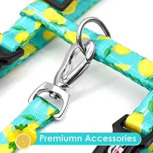 azuza Cat Harness and Leash Set for Safe Walking and Travel, Escape Proof Cat Harness, Lightweight Soft and Comfortable, Adjustable Kitten Harness for Small Medium Large Cats, Lemon