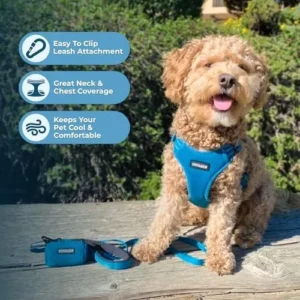 Best Pet Supplies Voyager Adjustable Dog Harness with Reflective Stripes for Walking, Jogging, Heavy-Duty Full Body No Pull Vest with Leash D-Ring, Breathable All-Weather – Harness (Turquoise), L