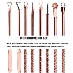 Blackhead Remover Pimple Comedone Extractor Tool Best Acne Removal Kit – Treatment for Blemish, Whitehead Popping, Zit Removing for Risk Free Nose Face Skin with Case (Rose, 4 Piece Set)