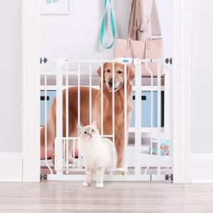 Carlson Extra Wide Walk Through Pet Gate with Small Pet Door, Includes 4-Inch Extension Kit, Pressure Mount Kit and Wall Mount Kit,White