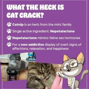 Cat Crack Catnip, Zoomie-Inducing Cat Nip Blend, North American Made & 100% Natural, Safe & Non-Addictive Catnip Treats Used to Supplement Catnip Toys, Catnip Spray, & Cat Accessories (1 Cup)