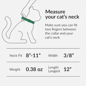 CollarDirect Leather Cat Collar with Bell – Kitten Collar, Small and Big Cat Collar for Boy Cats, Girl Cats with Safety Elastic Strap (Neck Fit 8″-11″, Mint Green)