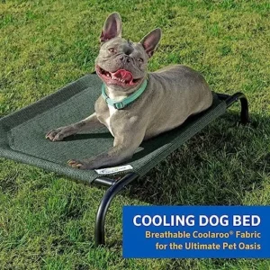 Coolaroo The Original Cooling Elevated Dog Bed, Indoor and Outdoor, Large, Aquatic Blue