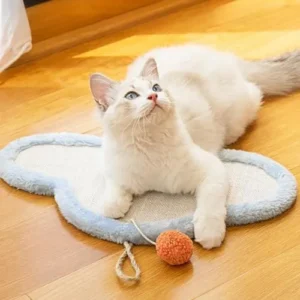 Cute Cat Scratching Mat Wall Mounted Natural Sisal Cat Scratch Pad Cartoon Design Durable Furniture Protector for Indoor Cats (Cat)