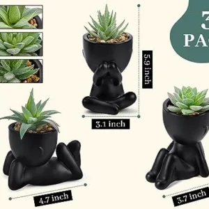 Der Rose 3pcs Fake Succulents Plants Artificial for Bathroom Bedroom Home Room Decor Aesthetic Indoor