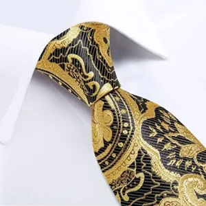 DiBanGu Mens Tie Set Paisley Floral Necktie Hanky Cufflinks Silk Tie Set Party Wedding