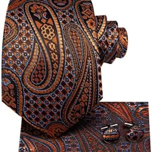 Dubulle Mens Paisely Silk Tie for Men Necktie and Pocket Square Set