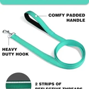 Erbine 6ft Dog Leash for Small Medium Large Dogs | One-Sided Reflective Nylon | Padded Handle | 3/4 inch Wide | Turquoise