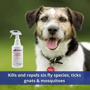 Farnam Flea Halt! Water-Based Flea & Tick Spray for Dogs Plus Citronella Scent, 40 fl oz