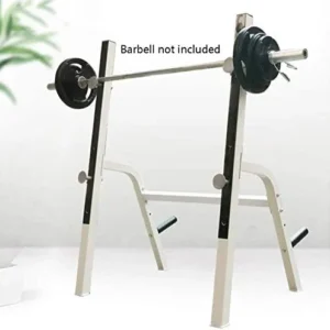 Fitness Equipment Weight Bench, Dumbbell Bench Strength Training Exercise Bench Dumbbell bench Squat Rack Weight Table Men’s Bench Press Adjustable Dumbbell Bracket Squat Rack Fitness Equipment Set,