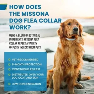 Flea Collar for Dogs Small and Large/Natural Flea and Tick Prevention for Puppy with Essential Oil Protection and Treatment, Adjustable Size and Random Design