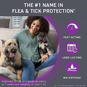 FRONTLINE Plus for Dogs Flea and Tick Treatment (Large Dog, 45-88 lbs.) 6 Doses (Purple Box)