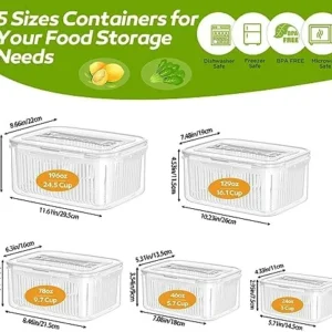 Fruit Storage Containers for Fridge – 10-Piece Kitchen Organizers Leak Proof Produce Saver and Veggie Storage Bins Set for Refrigerator, Plastic Airtight Food Storage Containers with Lids & Handle