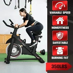 Gaeliy Exercise Bike-Stationary Bikes Indoor Cycling Bike, Spin Bike Belt Drive Indoor Exercise Bike with LCD Monitor & Comfortable Seat Cushion, Black Red (6105B)