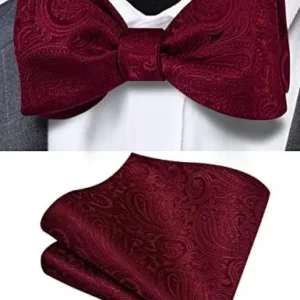 GUSLESON Mens Paisley Bowties Self Tie Bow Tie Handkerchief for Men Jacquard Bowtie Pocket Square Set