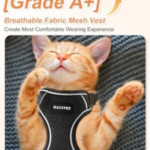 Halypet Cat Harness and Leash Set [ MAX Safety Third Generation ] Escape Proof Soft Adjustable Cat Leash Breathable Comfortable Vest Easy to Wear Kitten Harness for Outdoor Walking