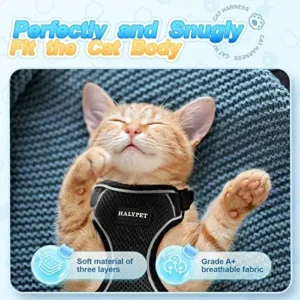 Halypet [MAX Safety] Cat Harness and Leash Set, Adjustable Kitten Harness, Escape Proof Cat Harness, Soft Breathable Vest for Walking Cat