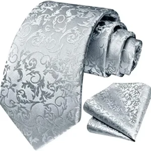 HISDERN Paisley Ties for Men Solid Tie Handkerchief Floral Men’s Necktie & Pocket Square Set Wedding Classic Mens Ties