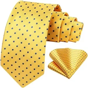 HISDERN Polka Dot Ties for Men Handkerchief Woven Classic Silk Mens Ties and Pocket Square Set Wedding Business