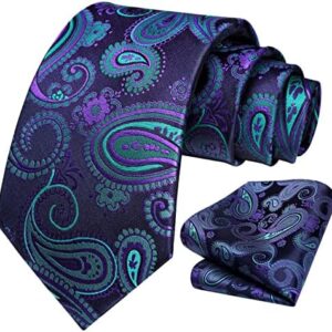 HISDERN Ties for Men Paisley Tie and Pocket Square Woven Classic Floral Mens Ties Handkerchief Set Wedding Party Necktie