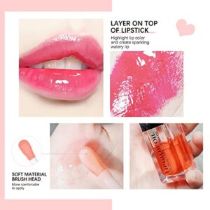 Hydrating Moisturizing Lip Glow Oil, Nourishing Glossy Transparent Plumping Oil, Non-sticky Tinted Toot Lip Balm for Lip Care