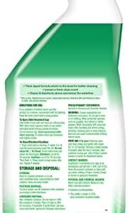 Lysol Toilet Bowl Cleaner Gel, For Cleaning and Disinfecting, Stain Removal, Forest Rain Scent, 24oz