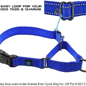 Max and Neo Nylon Martingale Collar – We Donate a Collar to a Dog Rescue for Every Collar Sold (Medium/Large, Teal)