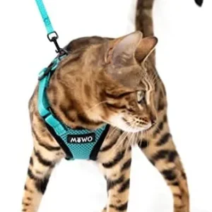 Mewo Cat Harness and Leash Set – Escape Proof, Reflective & Adjustable for a Safe & Snug Fit, Cat Walking Harness and Leash