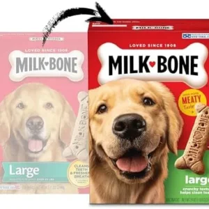 Milk-Bone Original Dog Treats Biscuits for Large Dogs, 24 Ounce (Packaging May Vary)