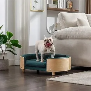 Modern Scandinavian Style Elevated Dog Bed Pet Sofa with Solid Wood Legs and Bent Wood Back, Velvet Cushion,Mid Size,Dark Green