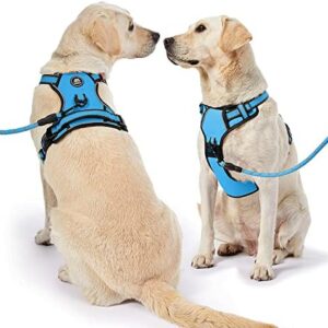 NESTROAD No Pull Dog Vest Harness with Leash, Adjustable Reflective Oxford Pet Harness with Easy Control Handle for Small Dogs, Blue