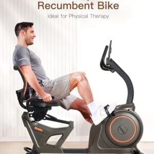 Niceday Indoor Recumbent Exercise Bike Workout Equipment for Home Gym 400LBS Weight Capacity