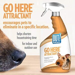 OUT! PetCare Go Here Attractant Indoor and Outdoor Dog Training Spray – House-Training Aid for Puppies and Dogs – 32 oz