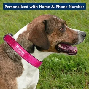 Personalized Dog Collars Custom with Pet Name and Phone Number, Soft Neoprene Padded Reflective Nylon Collar, 4 Adjustable Sizes – for Boy, Girl Dogs