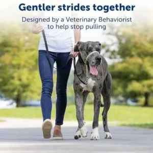 PetSafe Gentle Leader No-Pull Dog Headcollar – The Ultimate Solution to Pulling – Redirects Your Dog’s Pulling For Easier Walks – Helps You Regain Control – Medium , Black