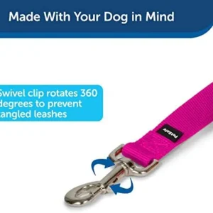 PetSafe Nylon Dog Leash – Strong, Durable, Traditional Style Leash with Easy to Use Bolt Snap – 3/4 in. x 6 ft., Raspberry Pink