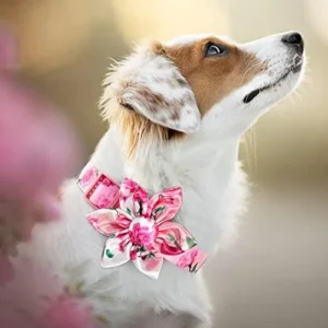 Pink Floral Girl Dog Collar with Rose Flower Bow Tie for Cute Girl Female Cats, Small Medium Large Dogs Spring Summer Season for Your Furbaby