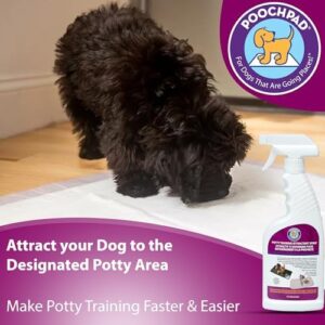 PoochPad Potty Training Attractant Spray for Dogs & Puppies 16 oz, Made in USA, Indoor Potty Pad & Outdoor Use, Dog Training & Behavior Aids Housebreaking Supplies