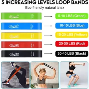 Resistance Bands Set 17pcs, Resistance Band, Exercise Bands Fitness Workout with Wide Handles, Door Anchor, Steel Clasp, Carry Bag, Ankle Straps for Home Gym Outdoor Travel