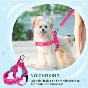 SlowTon No Pull Small Dog Harness and Leash Set, Puppy Soft Vest Harness Neck & Chest Adjustable, Reflective Lightweight Harness & Anti-Twist Pet Lead Combo for Small Medium Dogs (Fuchsia, XXS)