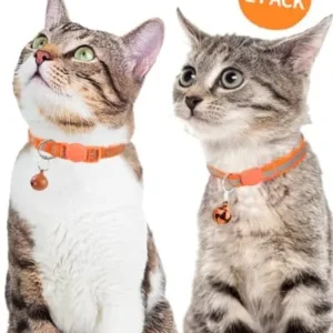 Taglory Reflective Cat Collars Breakaway with Bell, 2 Pack Girl Boy Pet Kitten Collar Adjustable 7.5-12.5 Inch, Orange