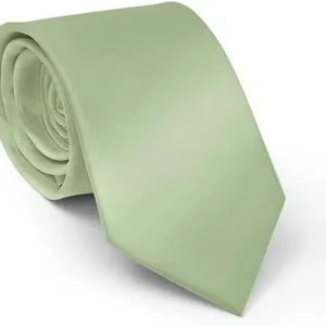 TASTION Men’s Classic Satin Soild Color 3.15″（8cm Necktie Wedding Business Tie & Gift Box