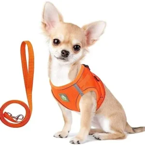 TQFlow Cat Harness and Leash Set for Walking, Kitten Puppy Escape Proof Small Dog Harness Soft Mesh,Adjustable Cat Vest Harness, Reflective Kitten Harness No Pull Step in (Small,Orange)