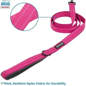 Voyager Reflective Dog Leash with Neoprene Handle, 5ft Long, Supports Small, Medium, and Large Breed Puppies, Cute and Heavy Duty for Walking, Running, and Training – Fuchsia (Leash), S