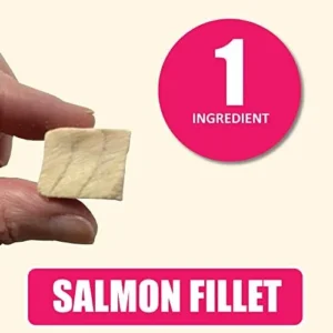 Whole Life Pet Just One Salmon – Cat Treat Or Topper – Human Grade, Freeze Dried, One Ingredient – Protein Rich, Grain Free, Made in The USA