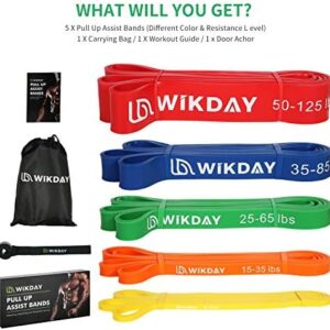 WIKDAY Resistance Bands, Pull Up Bands, Workout Bands for Exercise, Thick Heavy Resistance Band Set with Door Anchor, Elastic Bands for Body Stretching, Crossfit Training at Home/Gym for Men & Women